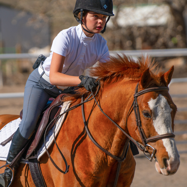 At a full canter