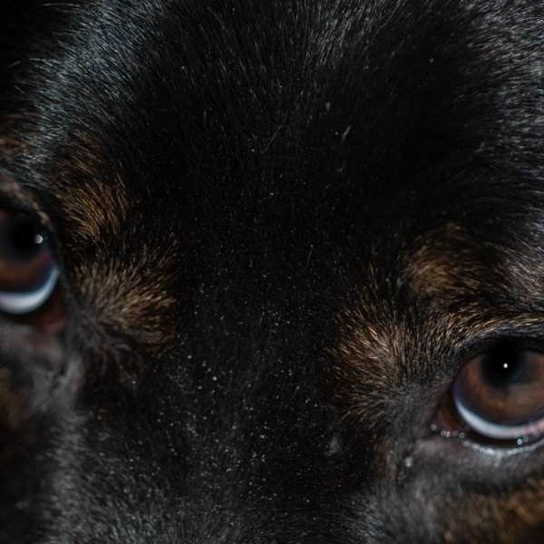 Those Eyes