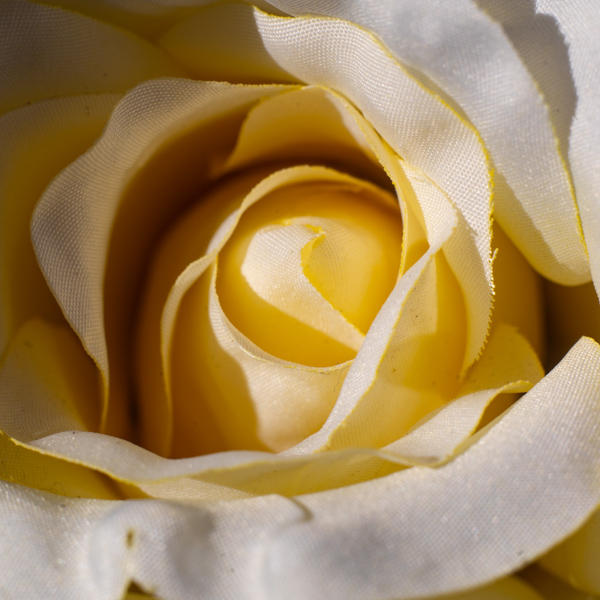 Close-up Photography