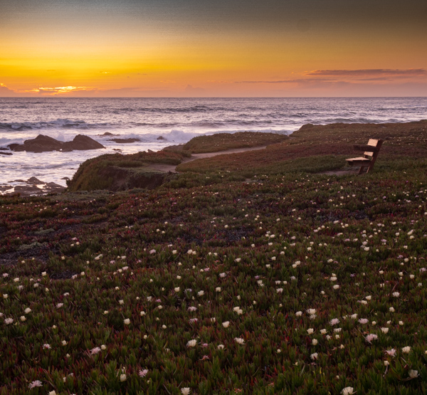 Lonely Bench and sea