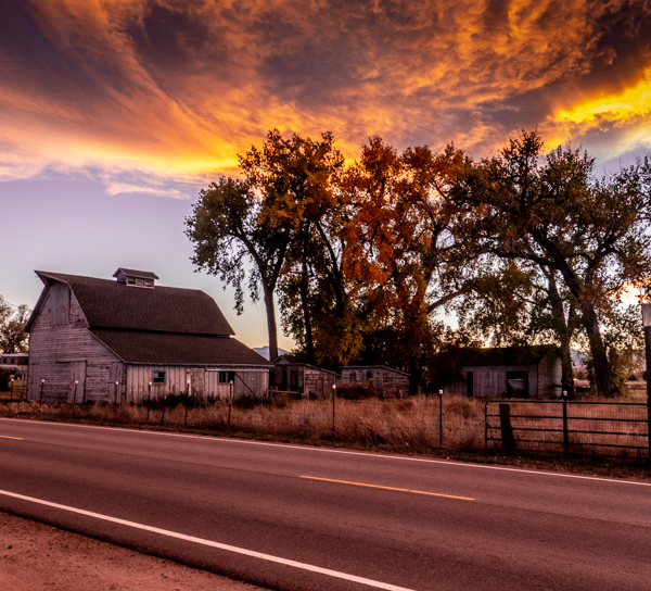 Fall Colors and Barn, Niwot, Colorado